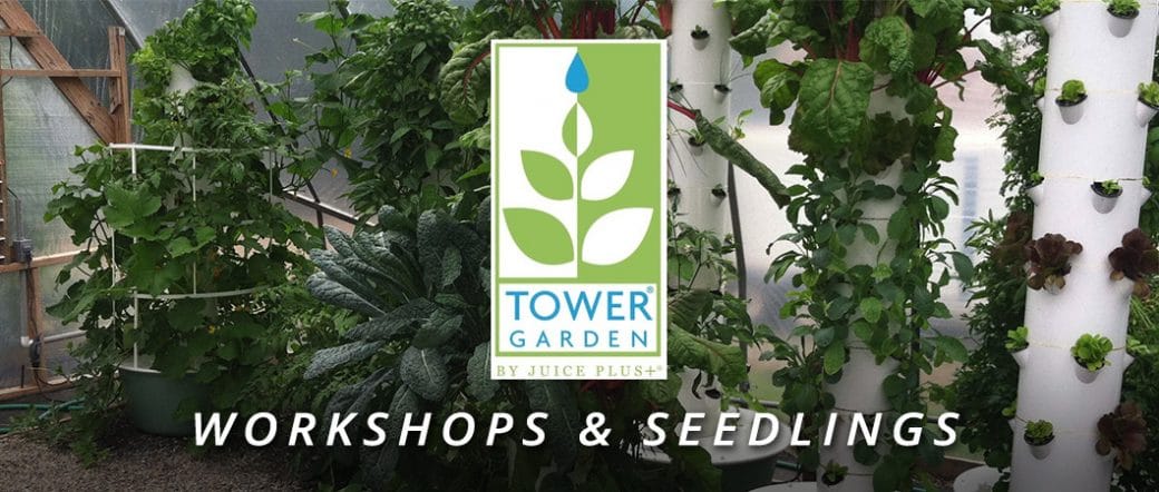 vendors for tower garden seedlings