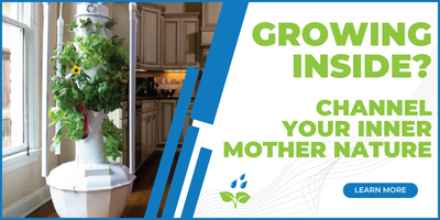 Growing Inside? Channel your inner Mother Nature.