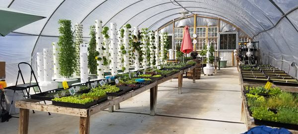 Shop Hydroponic & Dirt Plants + Tower Garden & Supplies