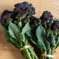 broccolini_burgundy